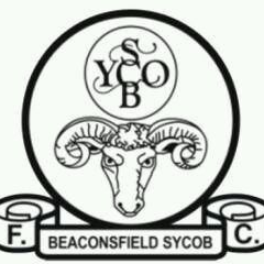 比肯斯队标,比肯斯图片