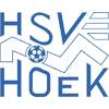 HSV胡克队标,HSV胡克图片
