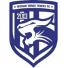 武汉三镇U15队标,武汉三镇U15图片