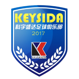 深圳科宇盛达队标,深圳科宇盛达图片