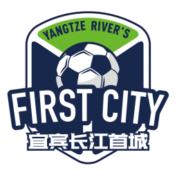 宜宾队队标,宜宾队图片