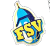 FSV女篮队标,FSV女篮图片