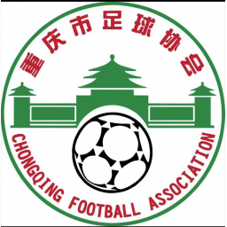 重庆青训中心2014队标,重庆青训中心2014图片